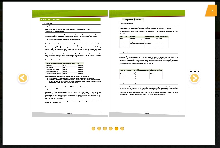 exemple de business plan gratuit pdf
